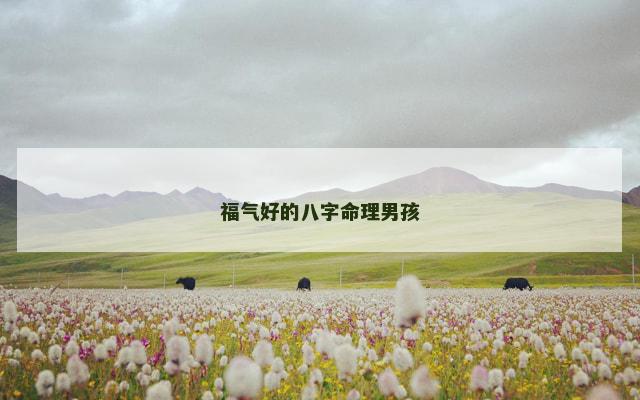 福气好的八字命理男孩