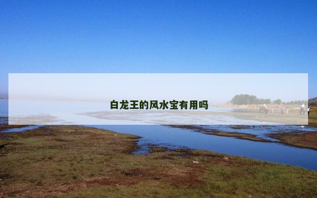 白龙王的风水宝有用吗