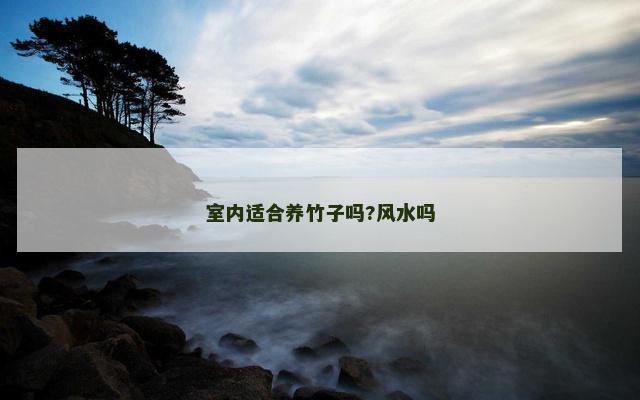 室内适合养竹子吗?风水吗