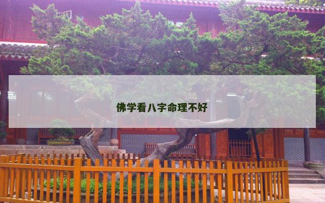 佛学看八字命理不好
