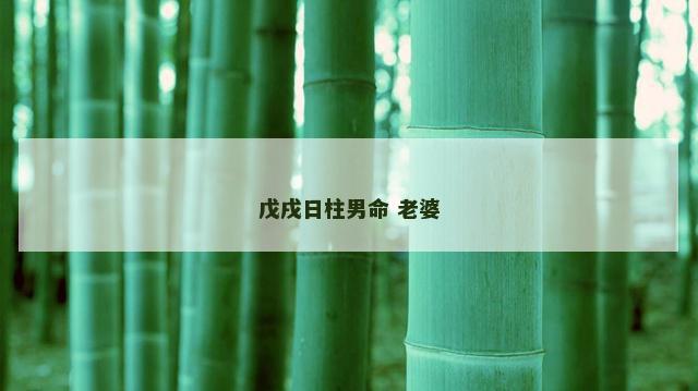 戊戌日柱男命 老婆