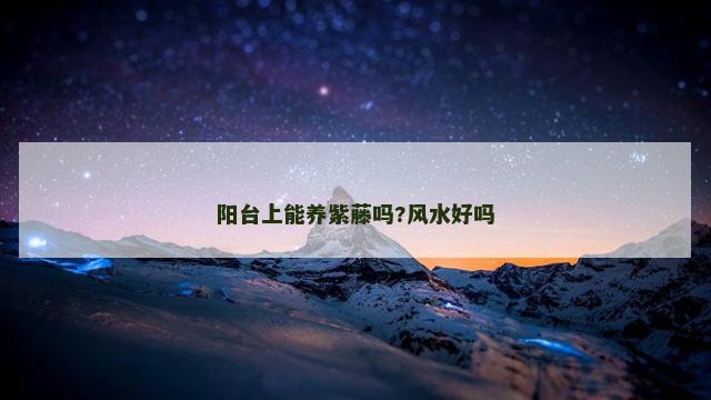 阳台上能养紫藤吗?风水好吗