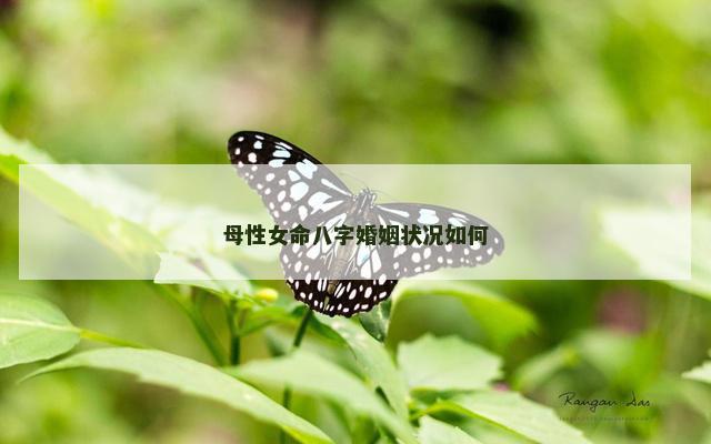 母性女命八字婚姻状况如何