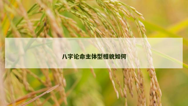 八字论命主体型相貌如何