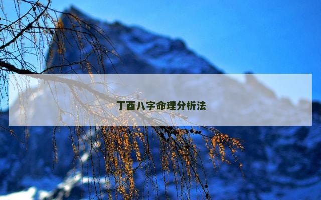 丁酉八字命理分析法