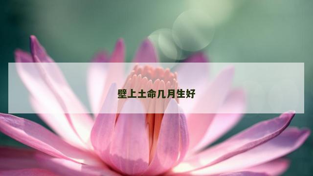壁上土命几月生好