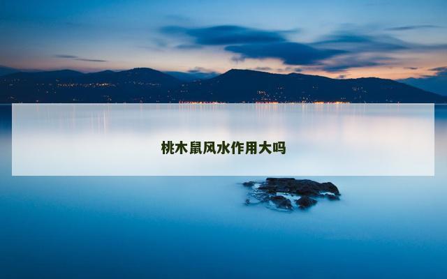 桃木鼠风水作用大吗