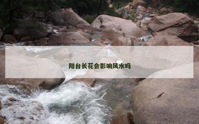 阳台长花会影响风水吗