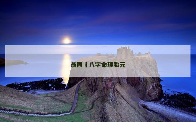 翁同龢八字命理胎元