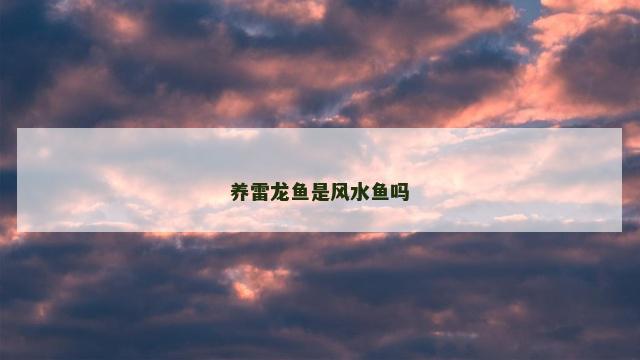 养雷龙鱼是风水鱼吗