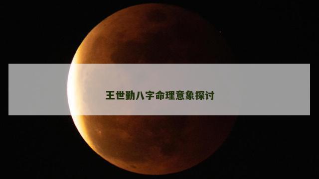 王世勤八字命理意象探讨