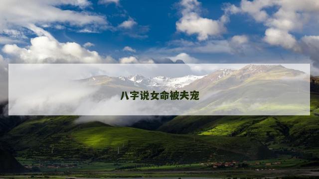八字说女命被夫宠