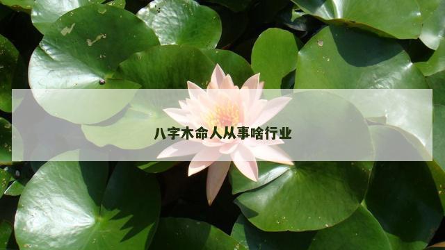 八字木命人从事啥行业