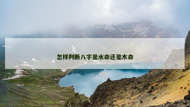 怎样判断八字是水命还是木命