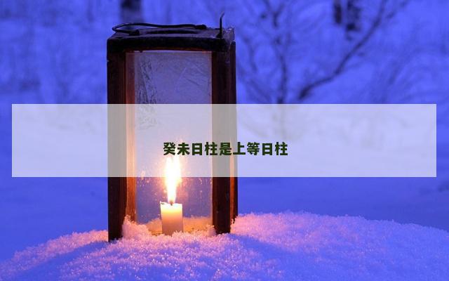 癸未日柱是上等日柱