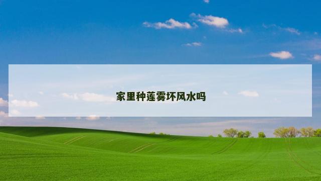 家里种莲雾坏风水吗
