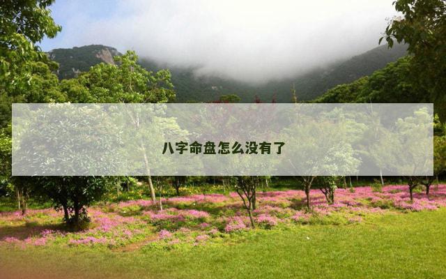 八字命盘怎么没有了
