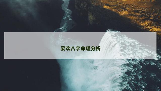 梁欢八字命理分析