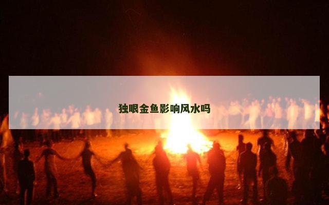 独眼金鱼影响风水吗