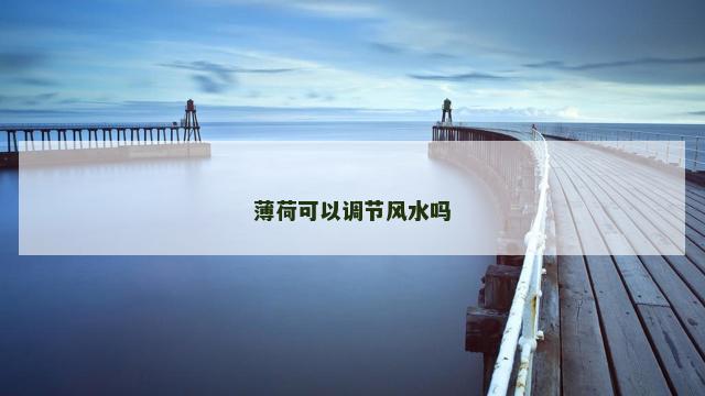 薄荷可以调节风水吗