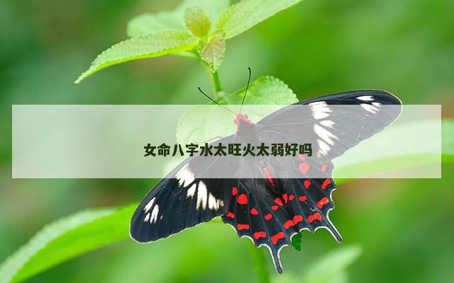 女命八字水太旺火太弱好吗