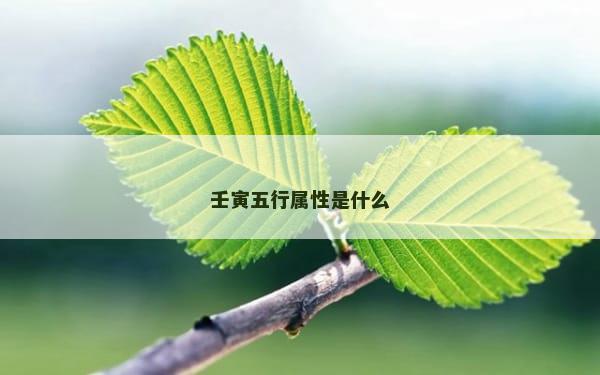 壬寅五行属性是什么