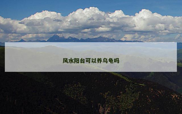 风水阳台可以养乌龟吗