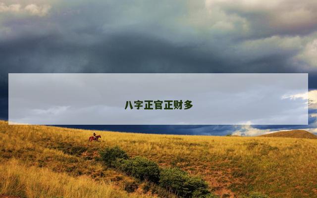 八字正官正财多