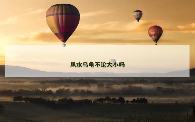 风水乌龟不论大小吗