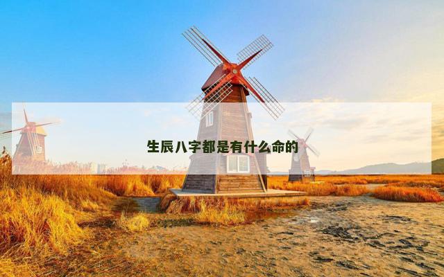 生辰八字都是有什么命的