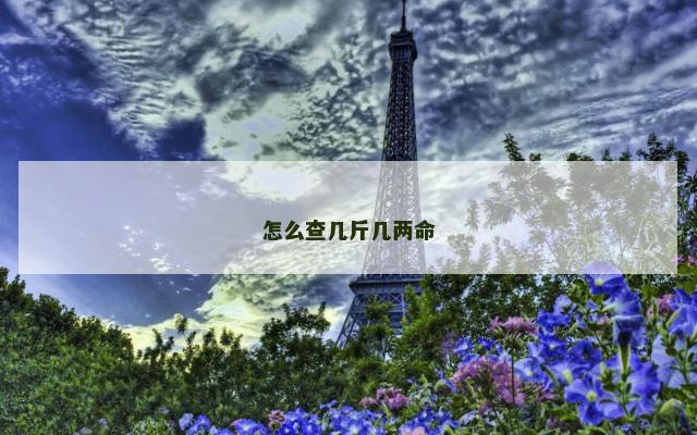 怎么查几斤几两命