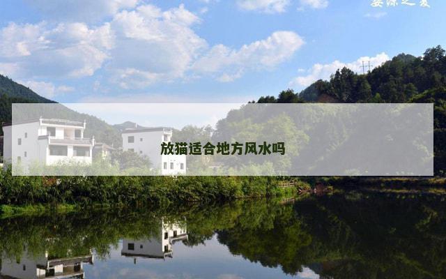 放猫适合地方风水吗