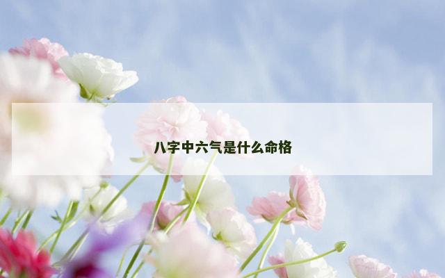 八字中六气是什么命格