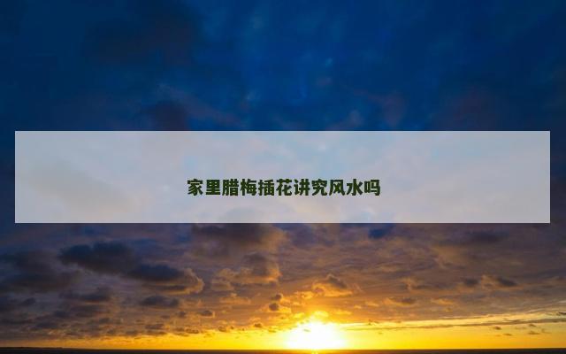 家里腊梅插花讲究风水吗