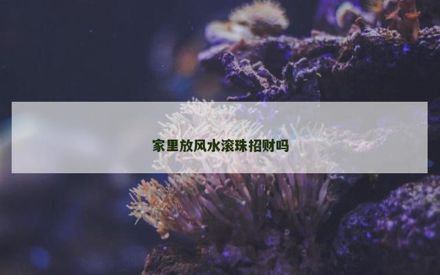 家里放风水滚珠招财吗