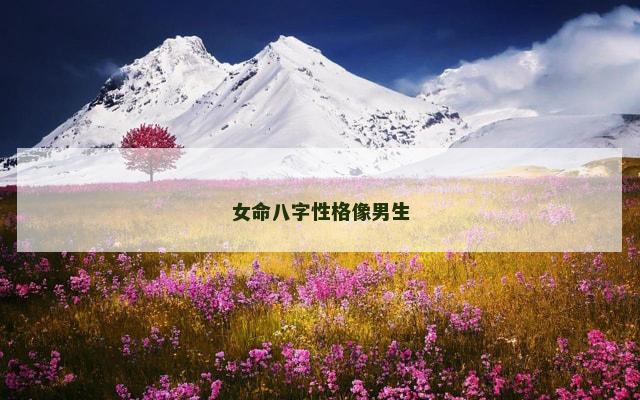 女命八字性格像男生