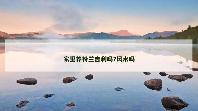家里养铃兰吉利吗?风水吗