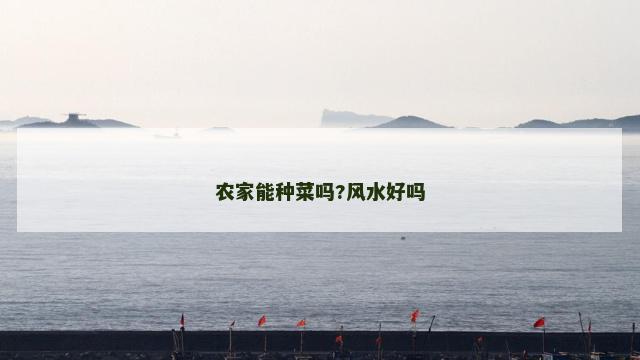 农家能种菜吗?风水好吗