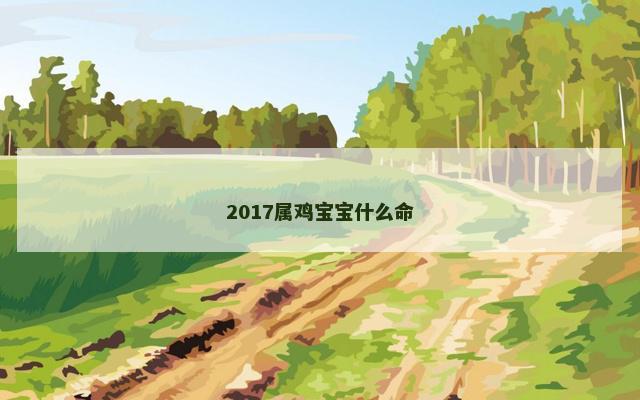 2017属鸡宝宝什么命