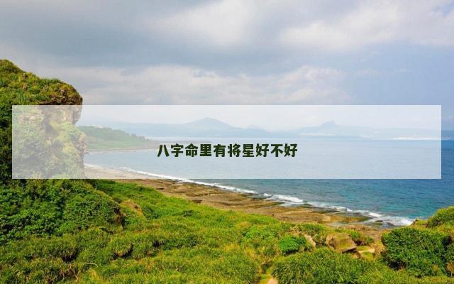 八字命里有将星好不好