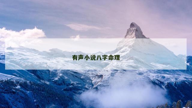 有声小说八字命理