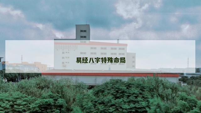 易经八字特殊命局