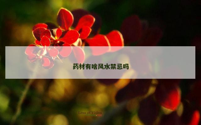 药材有啥风水禁忌吗