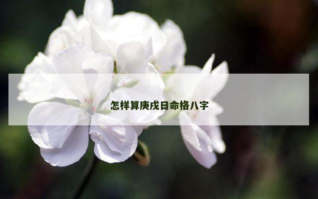 怎样算庚戌日命格八字