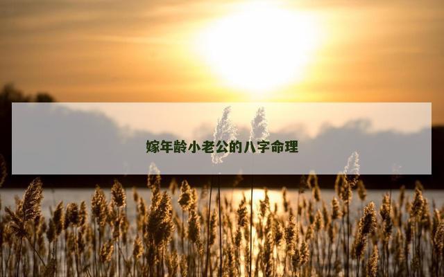 嫁年龄小老公的八字命理
