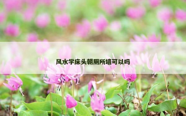 风水学床头朝厕所墙可以吗