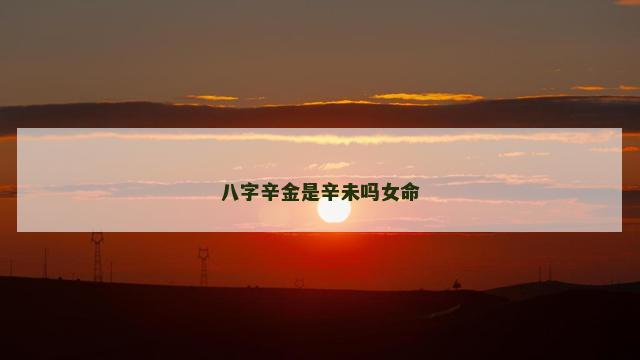 八字辛金是辛未吗女命