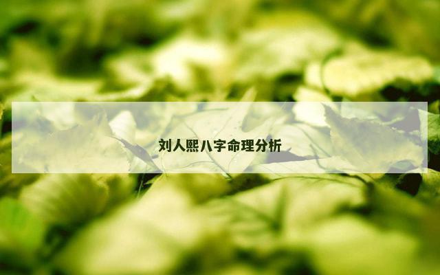 刘人熙八字命理分析