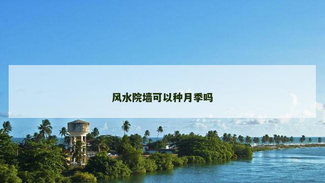 风水院墙可以种月季吗