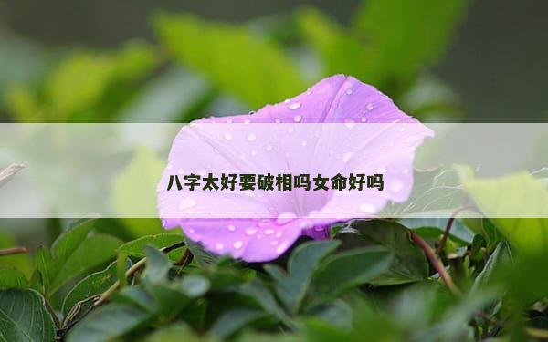 八字太好要破相吗女命好吗
